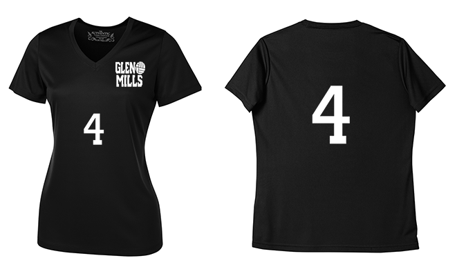 Ladies Short-sleeve V-neck Performance T-Shirt