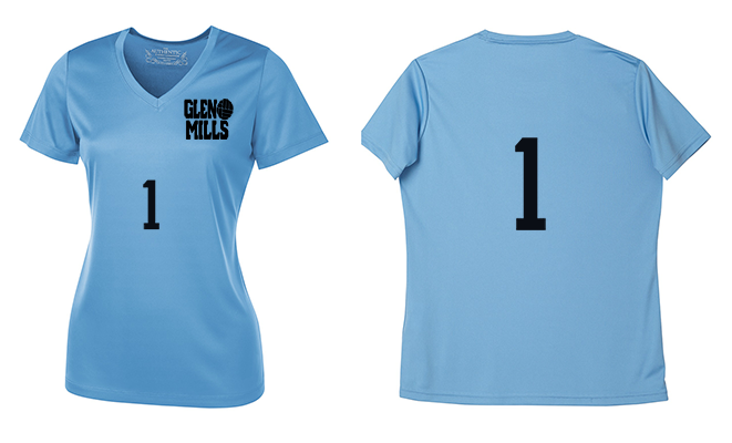 Ladies Short-sleeve V-neck Performance T-Shirt