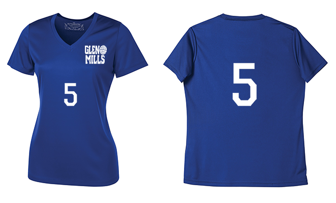 Ladies Short-sleeve V-neck Performance T-Shirt